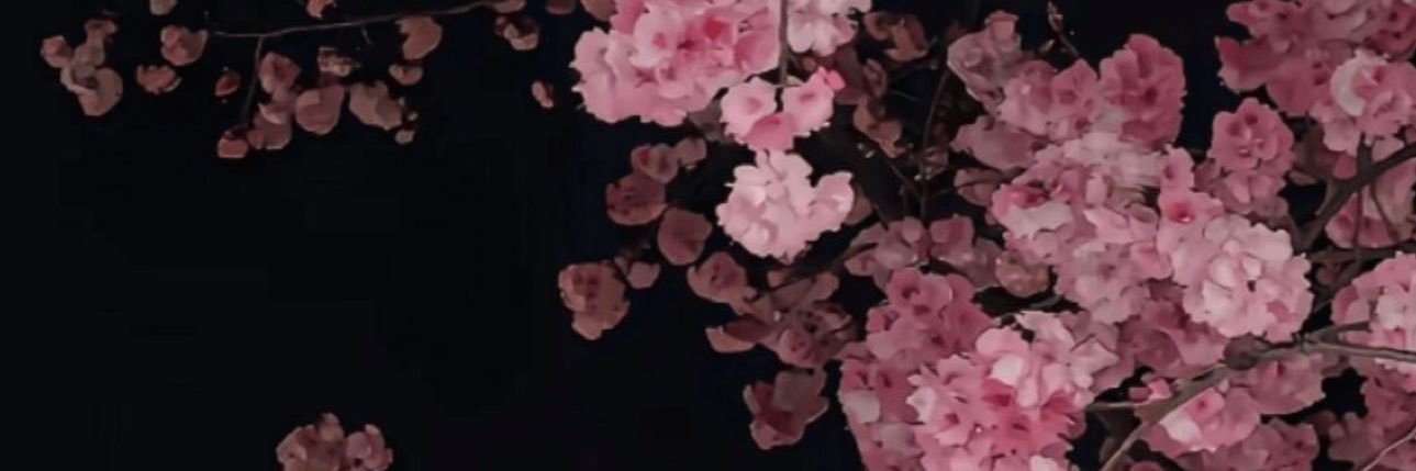 哈气吉米 banner