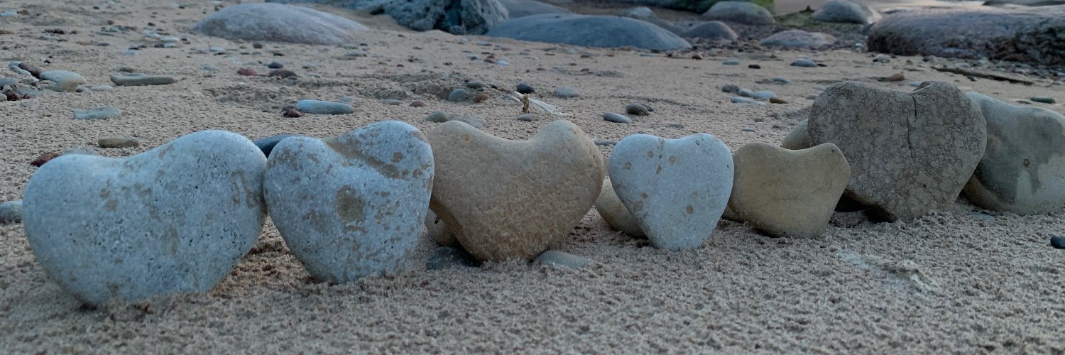 ES4RM 🇪🇪🇺🇦🇵🇱 banner