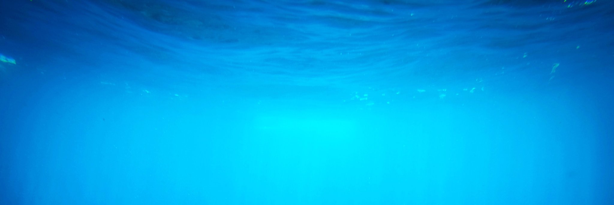 alyohere's profile banner image
