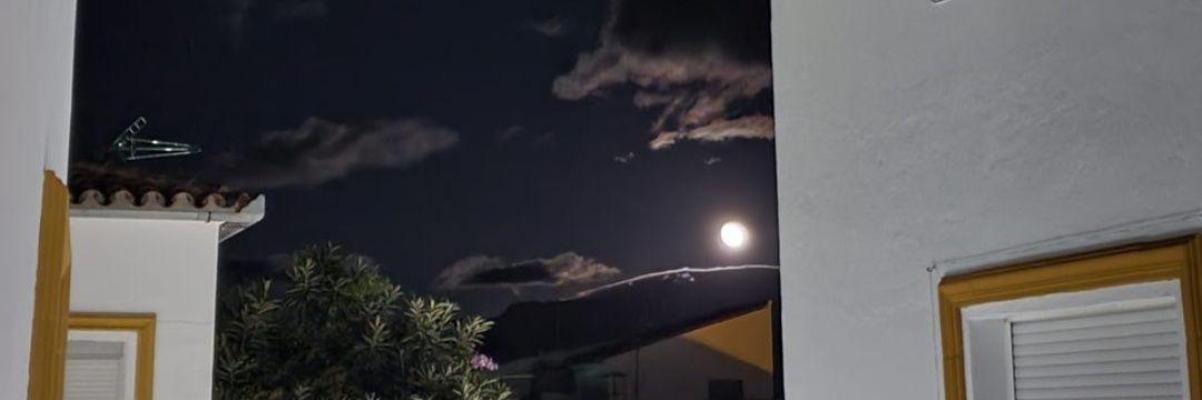 FranRodrguezRoj's profile banner image