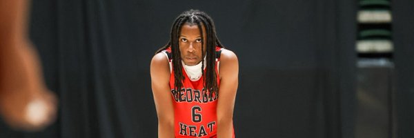 ZaylenMoon Profile Banner