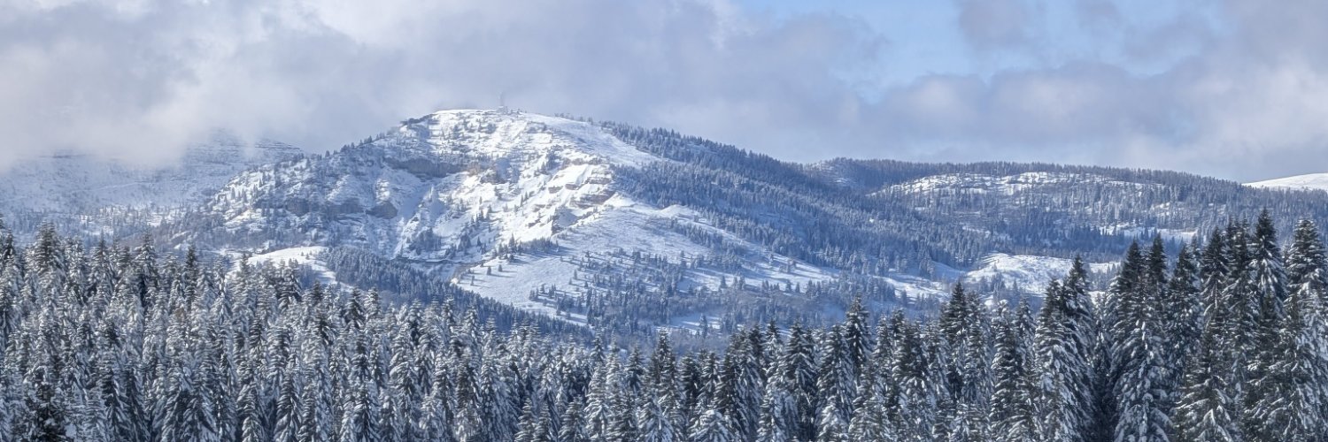 gresio_lorenzo's profile banner image