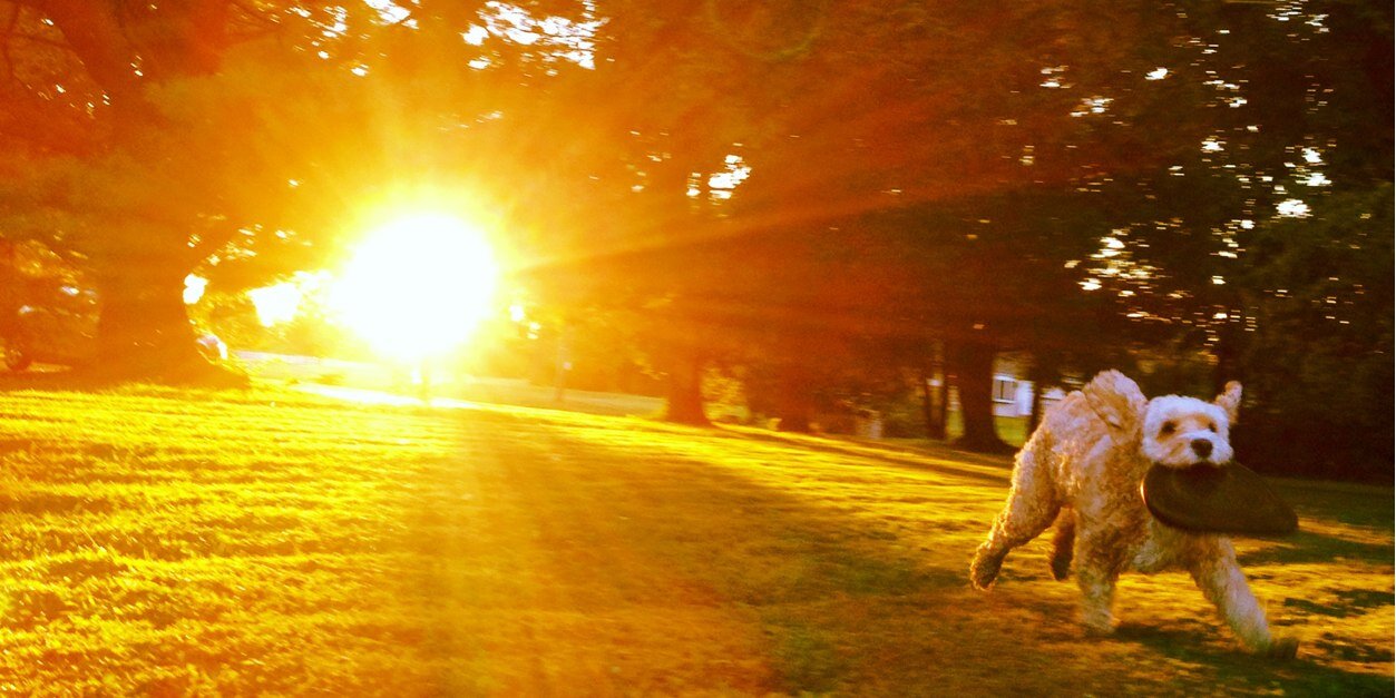 Jessica Deacon Evans banner