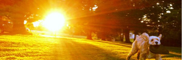 JessicaADeacon Profile Banner