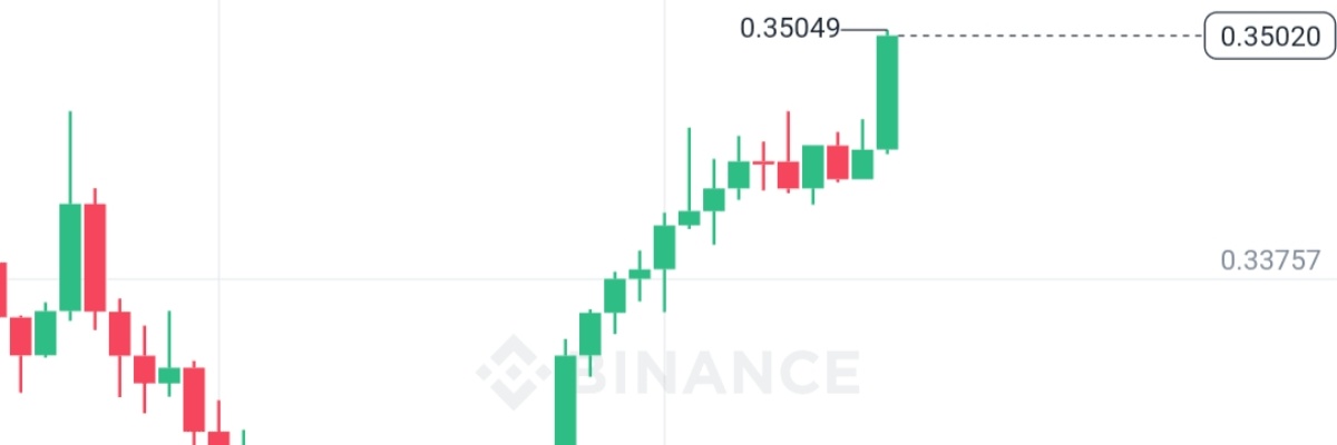 QUEEN ELLA 🔸️ banner