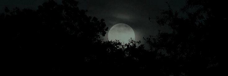 𝓽𝒚𝒍𝒆𝒓. banner