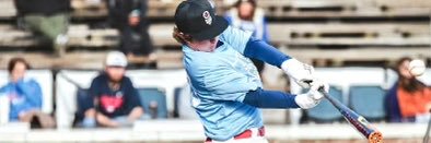 Davis Steadman banner