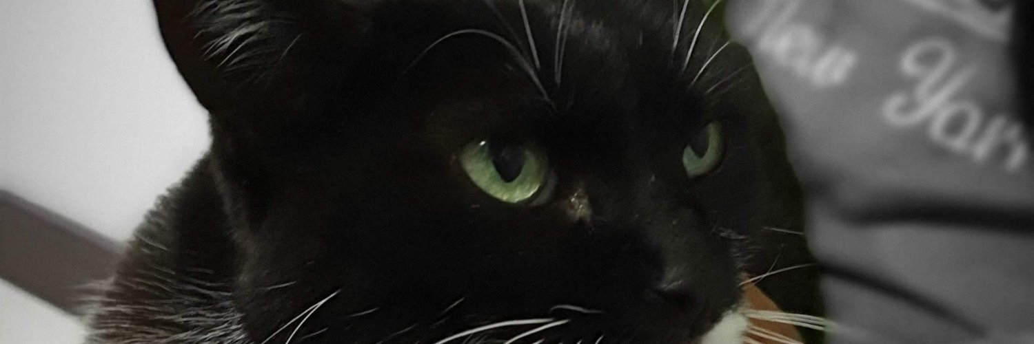yerzoonmartinez's profile banner image