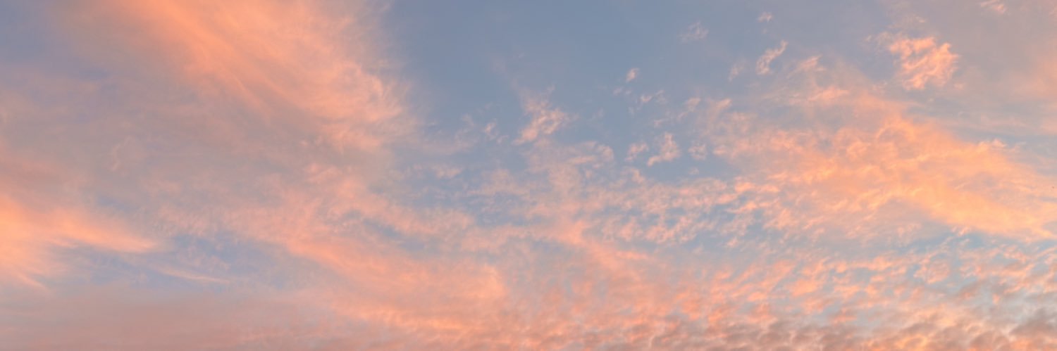 rddr.bsky.social banner