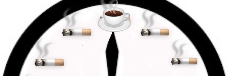 Serkan banner