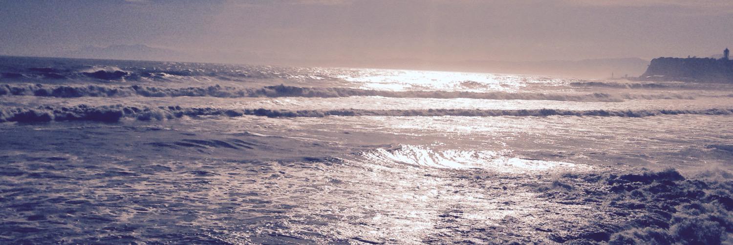 shingothe45's profile banner image