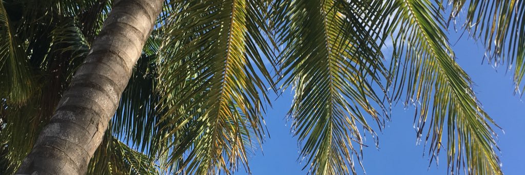 RalphChemisT's profile banner image