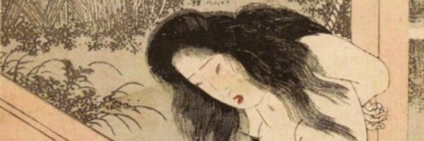 SMpedia Profile Banner