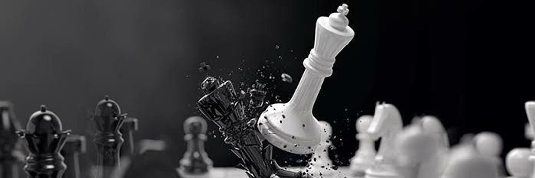 ZeeWolf 804🔥 banner