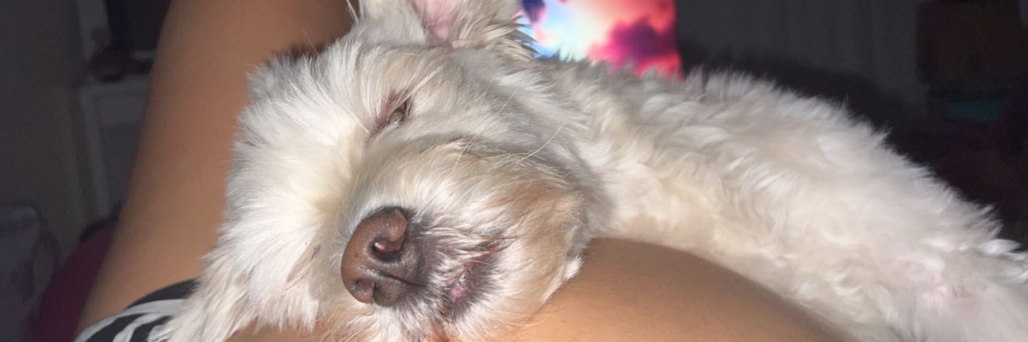 anhoee_'s profile banner image