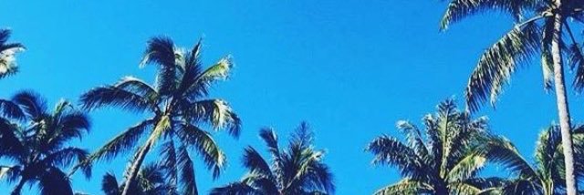 murdochfinch's profile banner image
