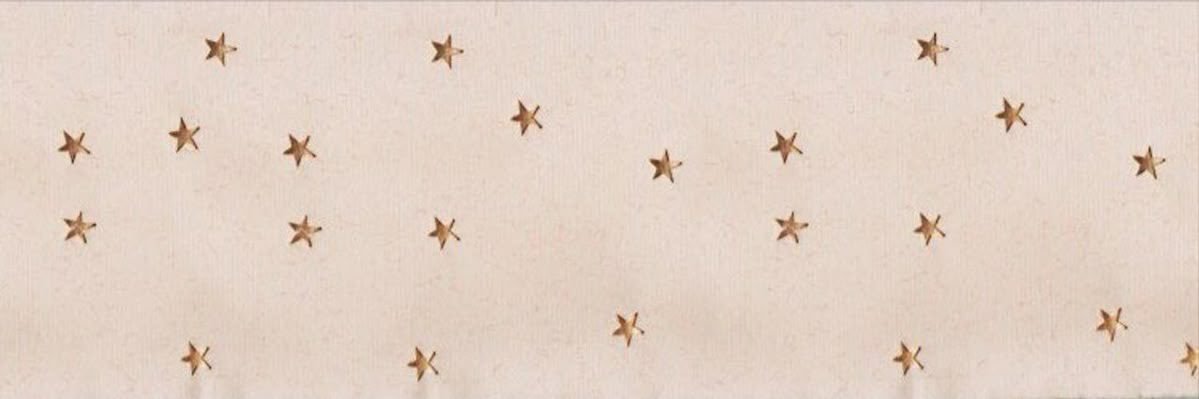 𝒜𝓇𝒾 banner