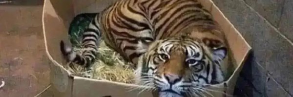 sledge_emaude1 Profile Banner