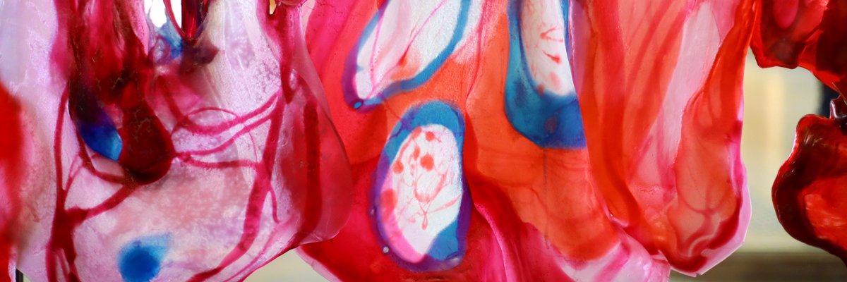 RouxLaurence's profile banner image