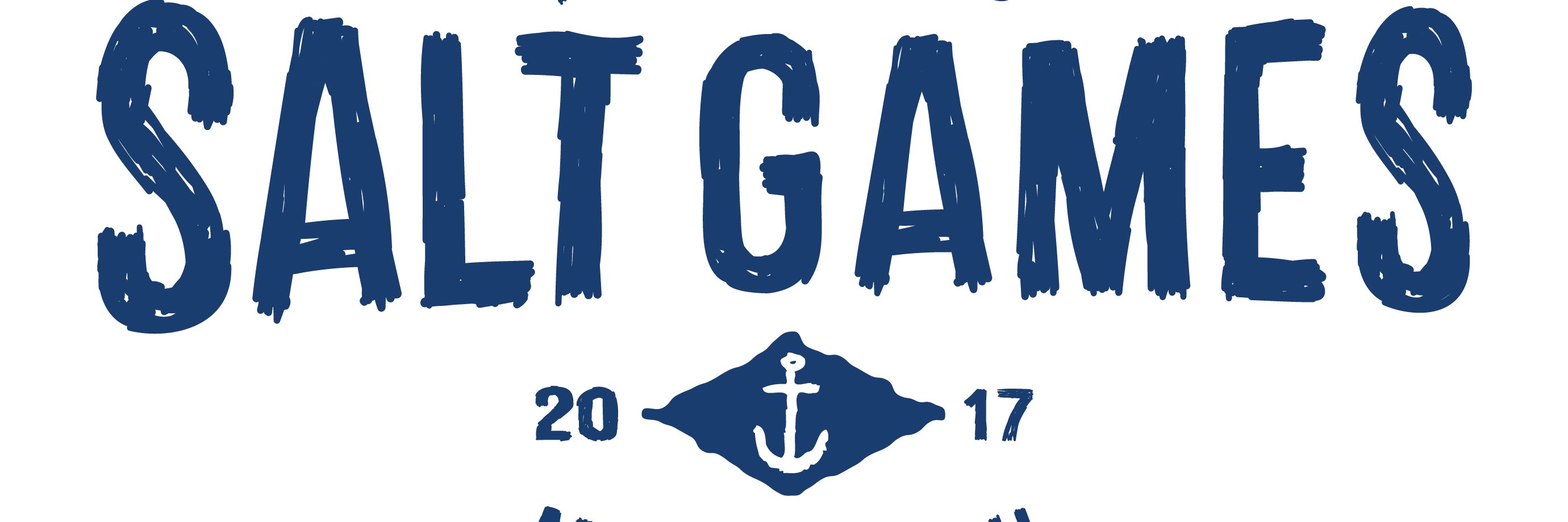 thesaltgames's profile banner image