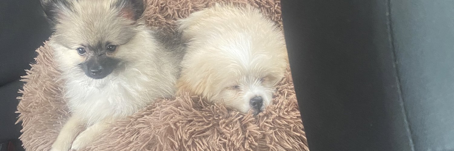 michelleAthomas's profile banner image
