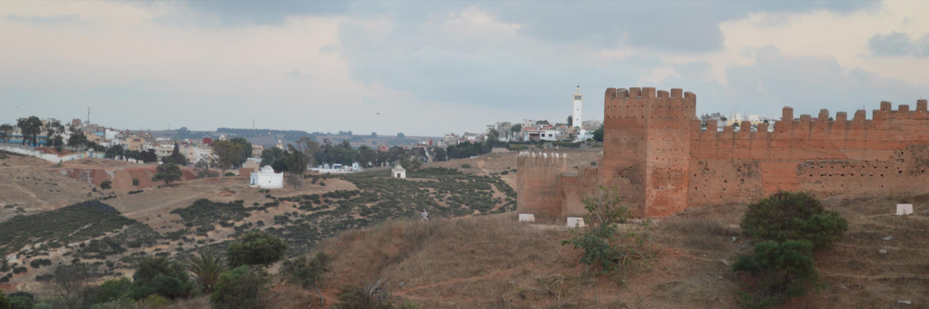 Ziad Bentahar زياد بنطاهر banner
