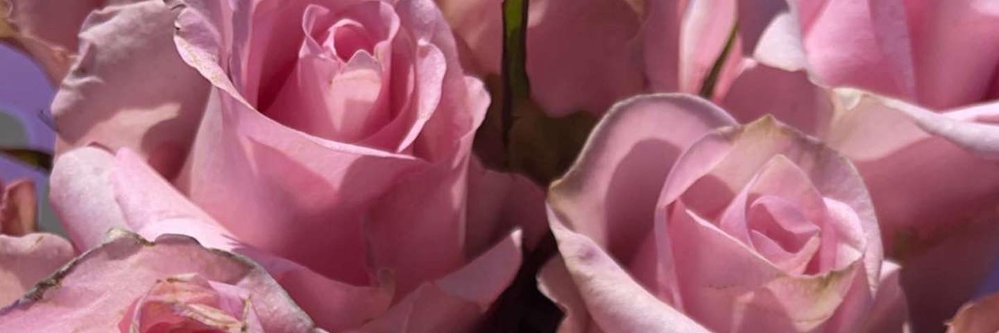 BeGiddyy's profile banner image