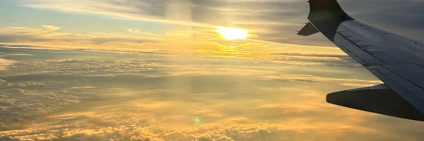KristaCarew's profile banner image