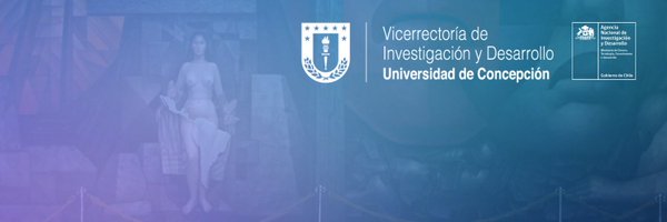InesGeneroUdeC Profile Banner