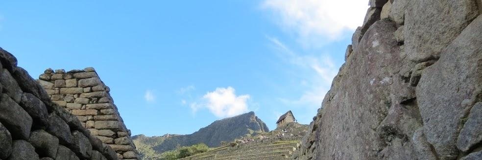 XimenaBenavides's profile banner image