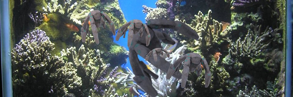 Altairblue #HAILMARYSWEEP banner