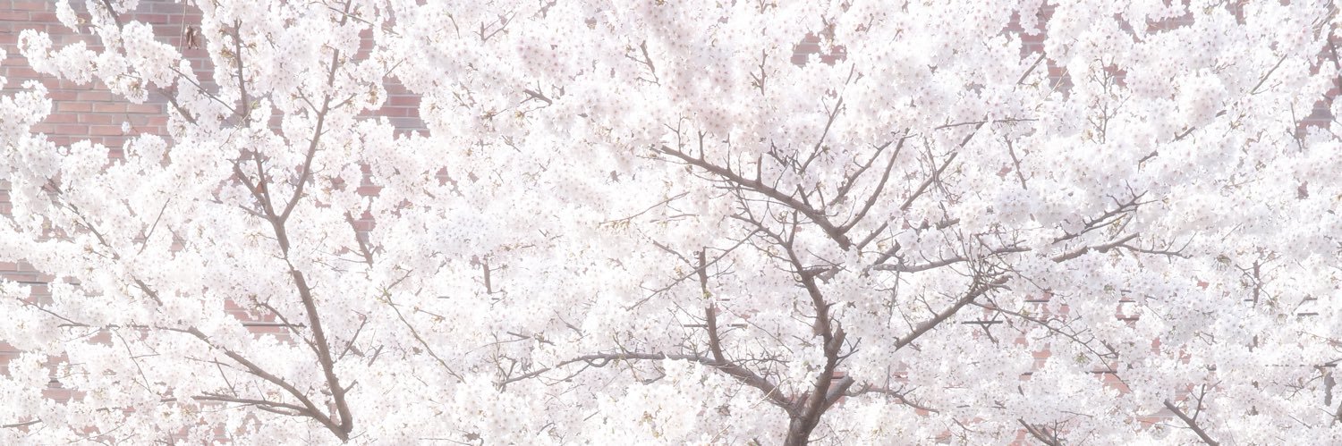 ohthisis's profile banner image
