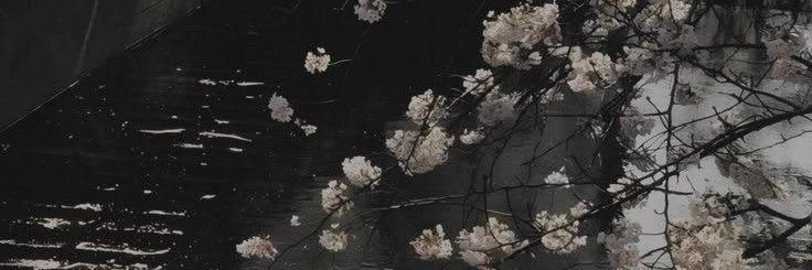 kemflir's profile banner image