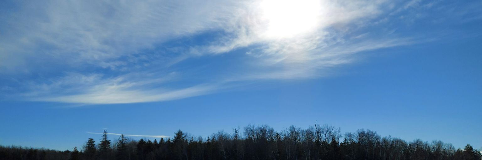 Allison Coldwell banner