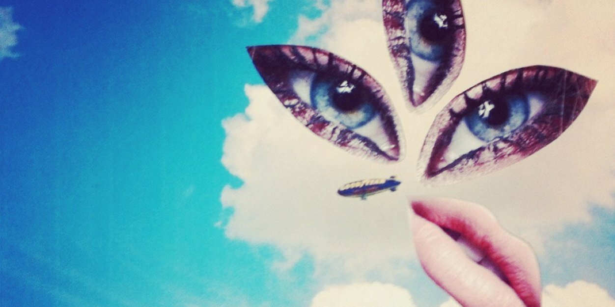 Maison Stella banner