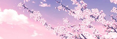 SSM_Libertra's profile banner image