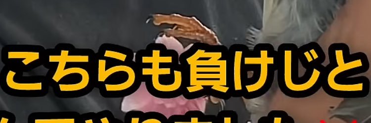 みずほ banner