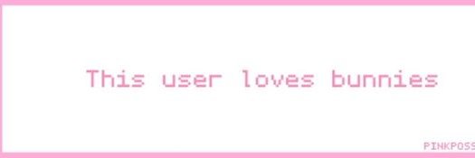 bunnyVicky_'s profile banner image