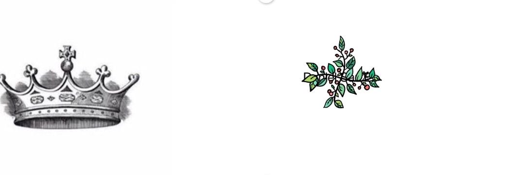 krlosnarino83's profile banner image
