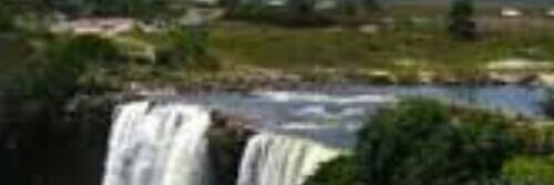 rossielp's profile banner image