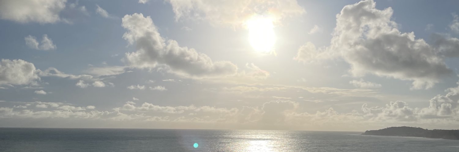 Maxi Bunse banner