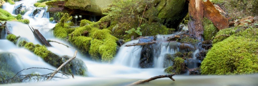fredhill's profile banner image