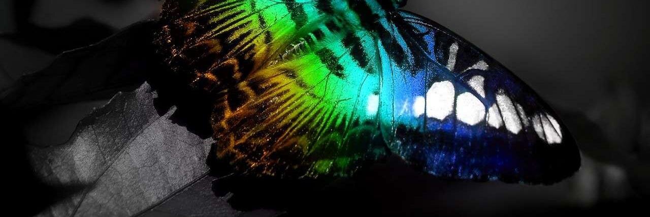 AnnaYoma's profile banner image