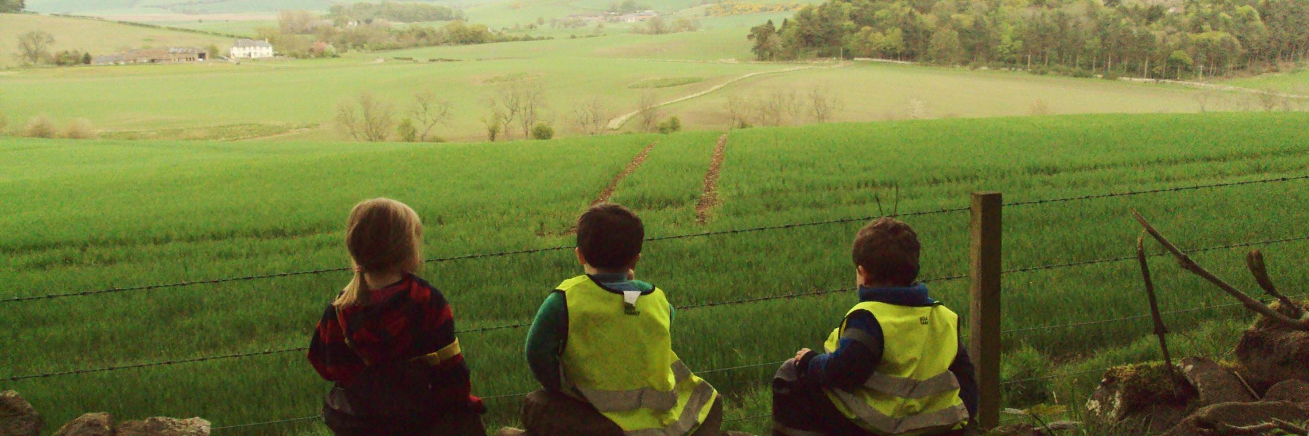 InNaturaSpain's profile banner image