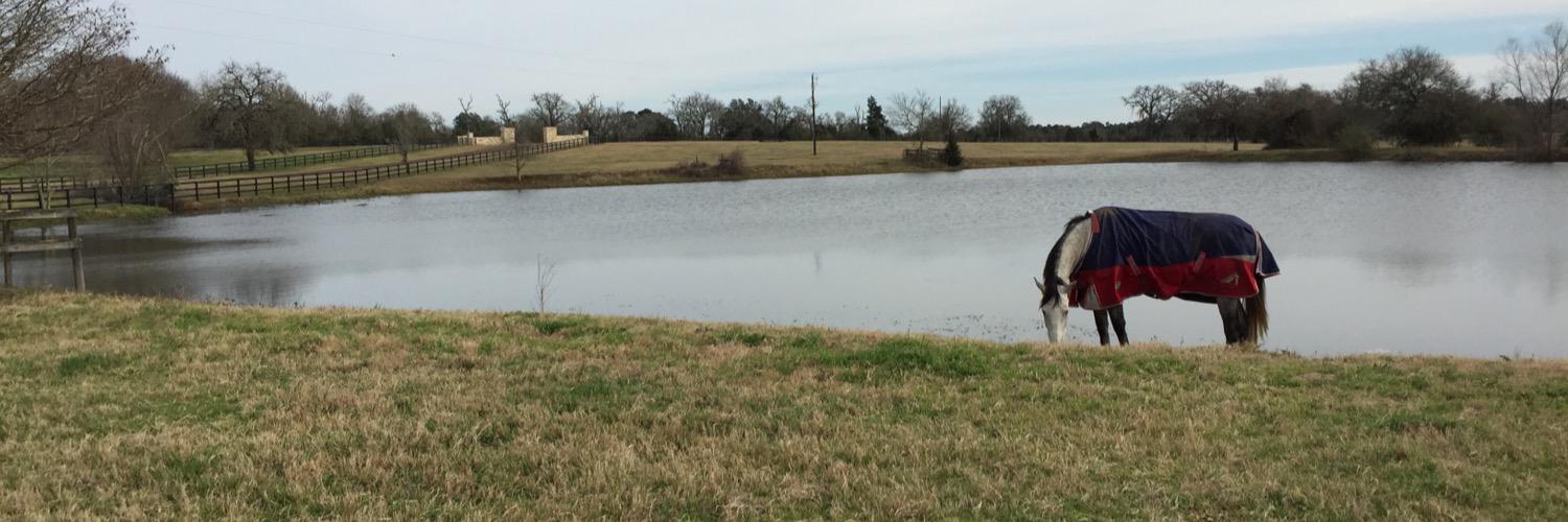 ErinPendleton's profile banner image