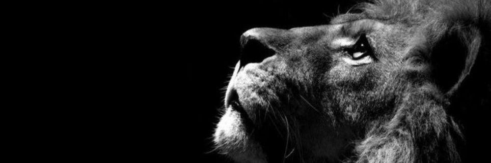 legend_salem's profile banner image