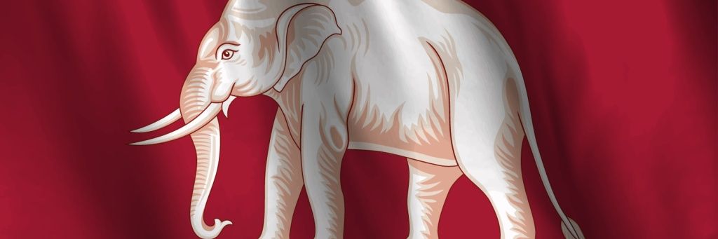 A Kiwi in Siam's banner