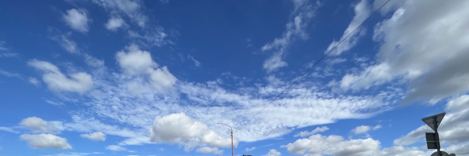BrassmanGoGo banner