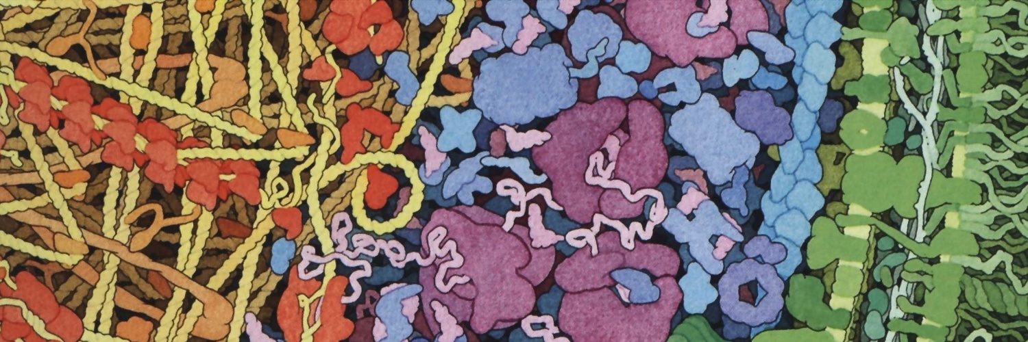 stephanie_sci's profile banner image