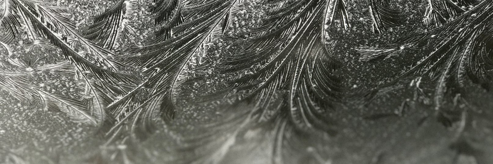ChristofMeili's profile banner image